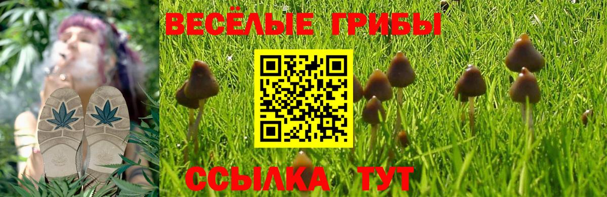 Псилоцибиновые грибы ЛСД Саранск