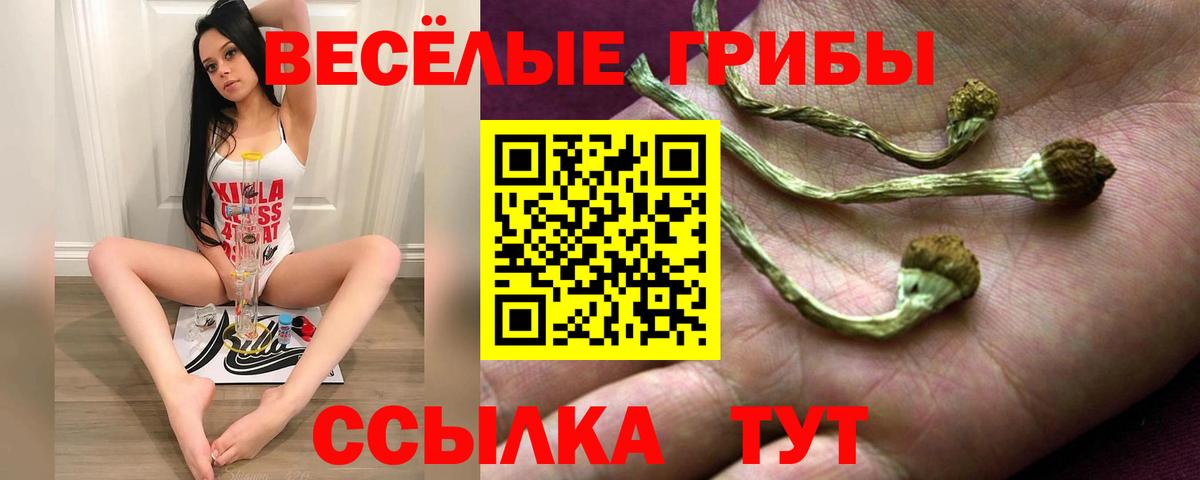 Саранск  Галлюциногенные грибы ЛСД  Псилоцибиновые грибы Psilocybine cubensis  Вход с VPN 